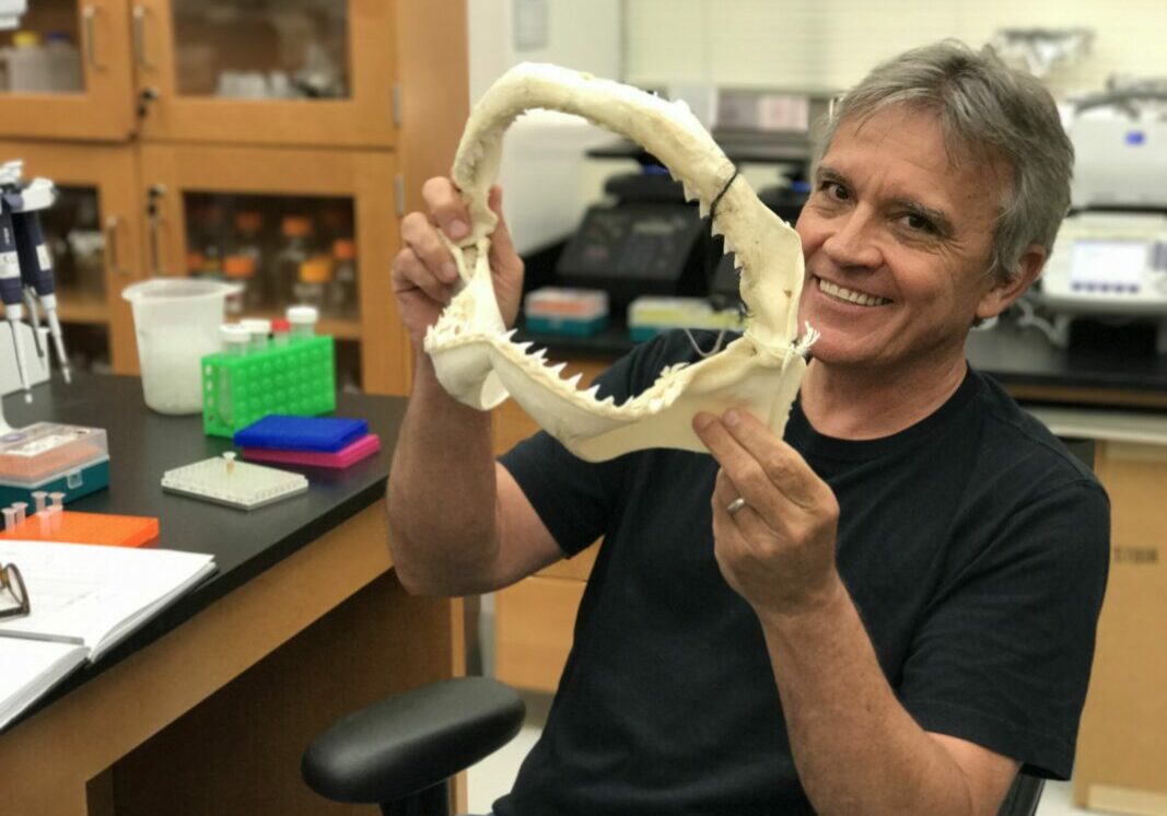 Content provider and professor Gavin Naylor at Florida University holds a big jaw from an aquatic animal in front of him.