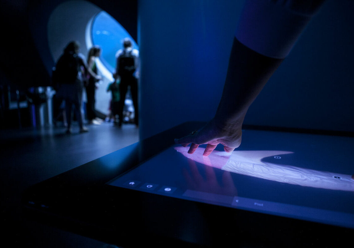 Hand using a large touch screen to look at the anatomy of a whale in 3D with a large aquarium in the background