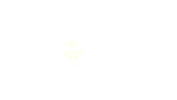 Crocodile_3_no_bg