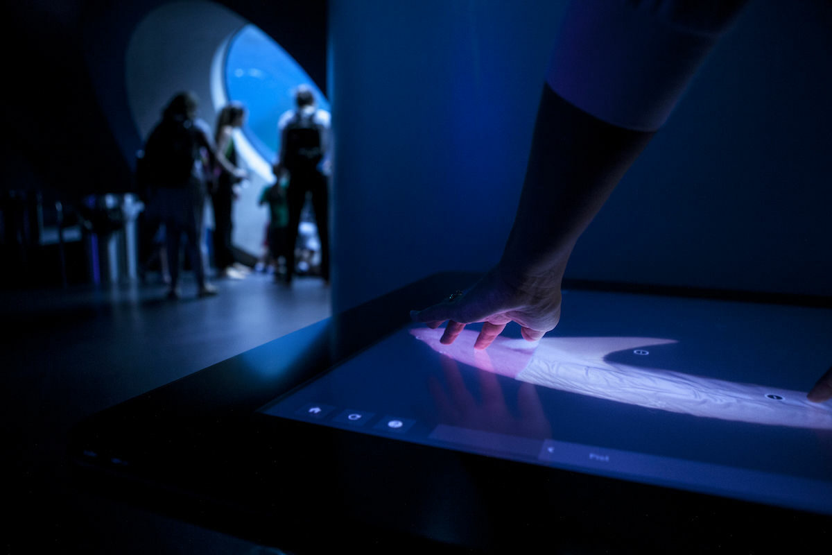 Hand using a large touch screen to look at the anatomy of a whale in 3D with a large aquarium in the background